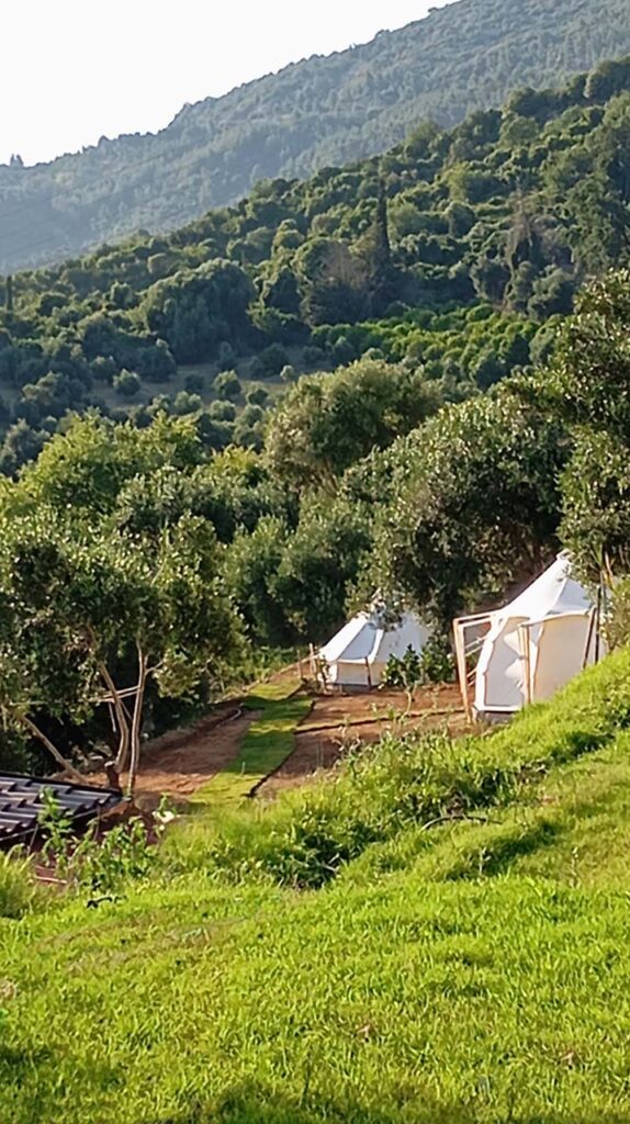 ntipzen-yoga-retreat-preveza-greece-24