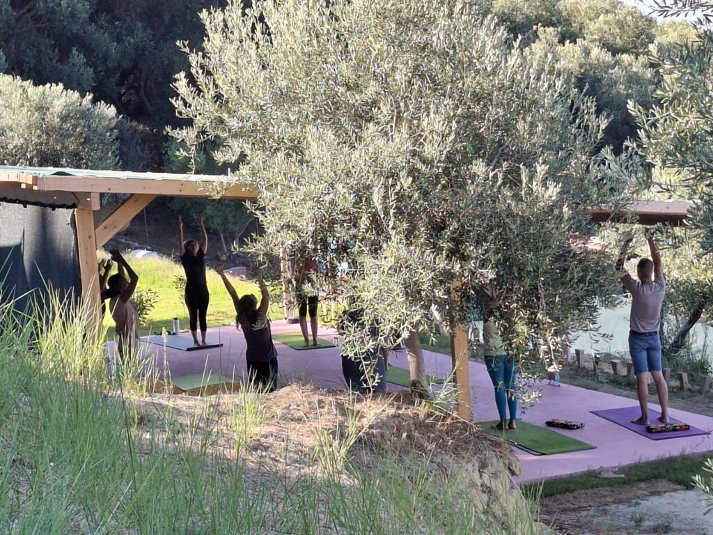 IMG-6563873b0799090f64196ea3c007ca29-V